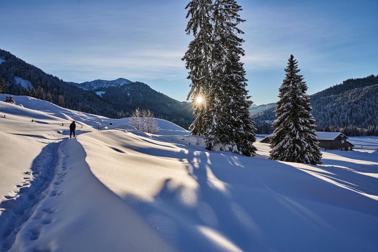 Hubertus Mountain Refugio Allgaeu Balderschwang Exteriör bild