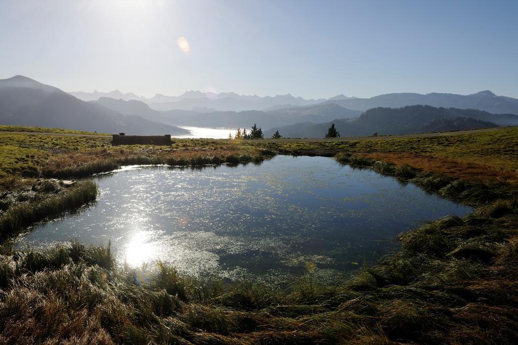 Hubertus Mountain Refugio Allgaeu Balderschwang Exteriör bild